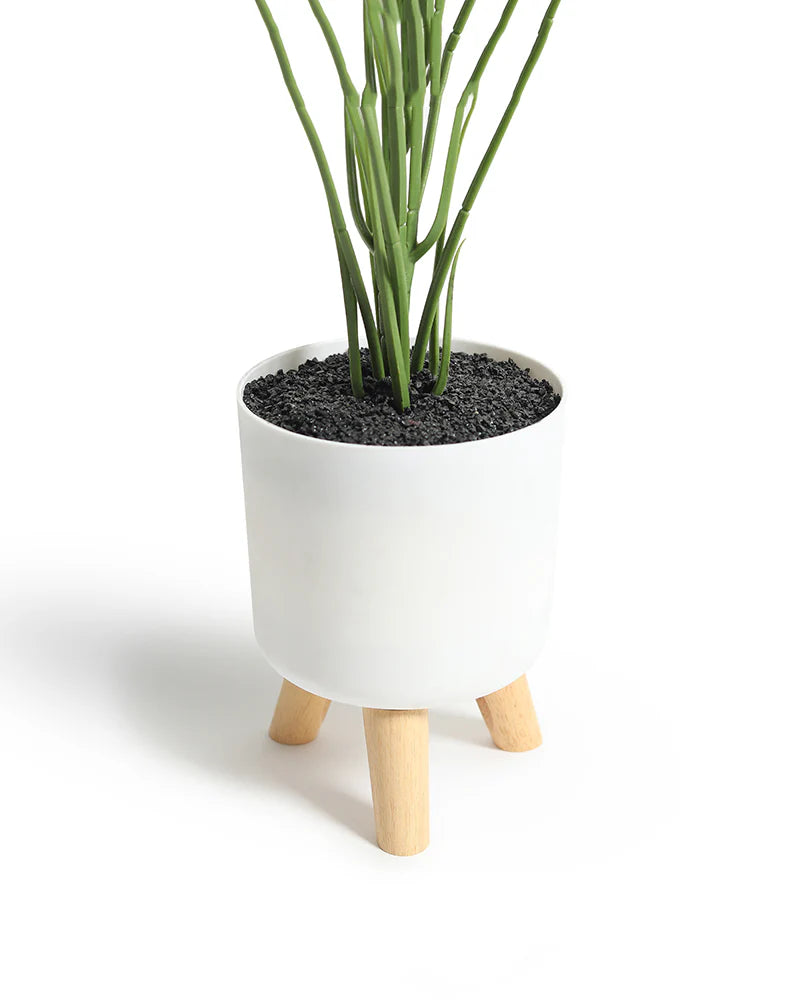 Decorative Artificial Potted Plant for Tabletop and Indoor Decoration