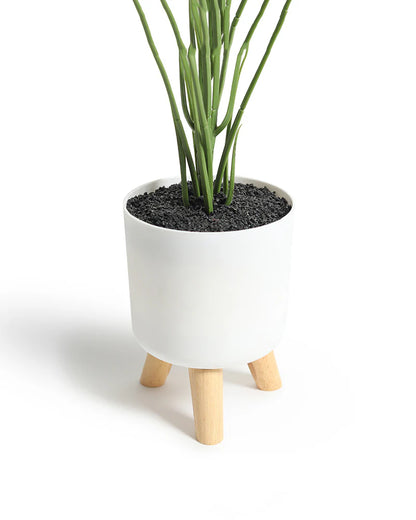 Decorative Artificial Potted Plant for Tabletop and Indoor Decoration