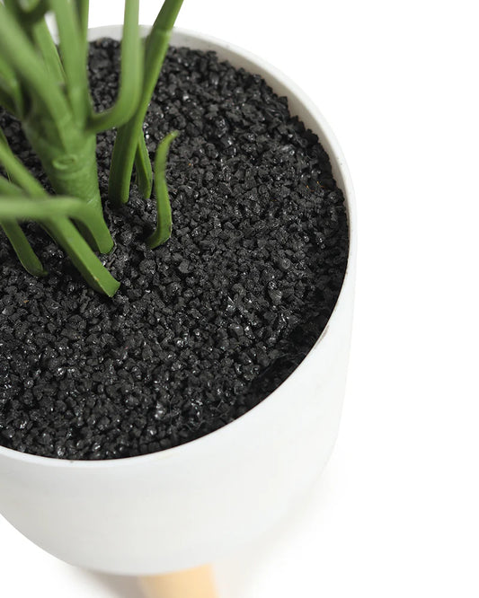 Decorative Artificial Potted Plant for Tabletop and Indoor Decoration