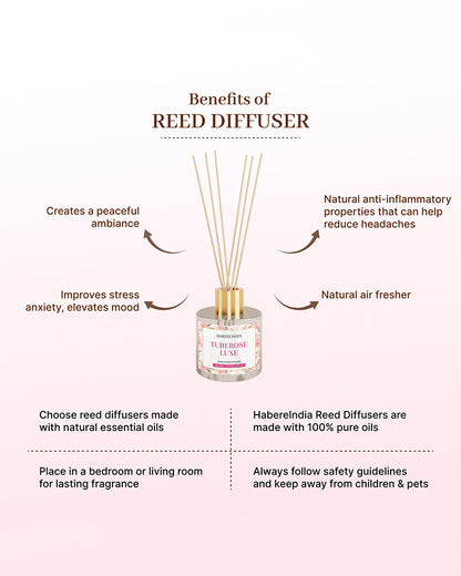 Reed Diffuser Set | Fragrance Oil with Reed Diffuser | Aroma Oil Diffusers for Home