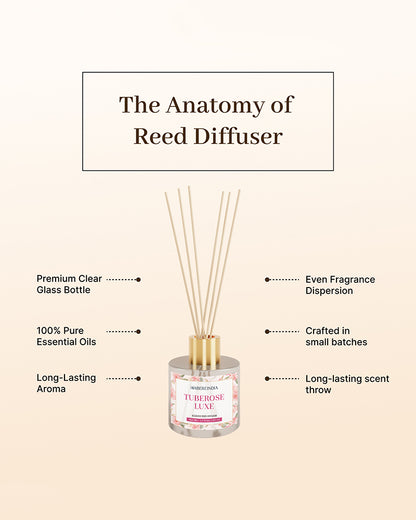 Reed Diffuser Set | Fragrance Oil with Reed Diffuser | Aroma Oil Diffusers for Home
