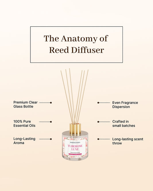 Reed Diffuser Set | Fragrance Oil with Reed Diffuser | Aroma Oil Diffusers for Home