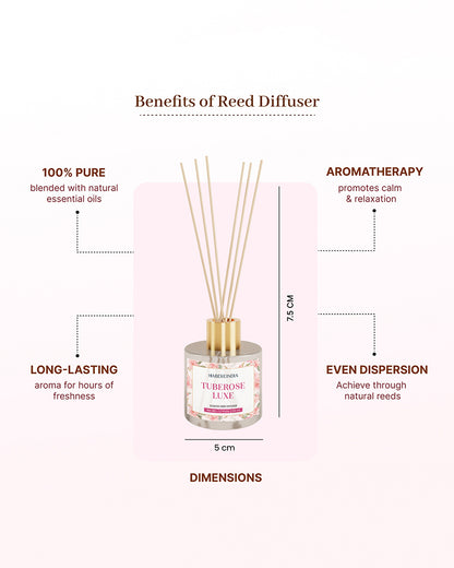 Reed Diffuser Set | Fragrance Oil with Reed Diffuser | Aroma Oil Diffusers for Home
