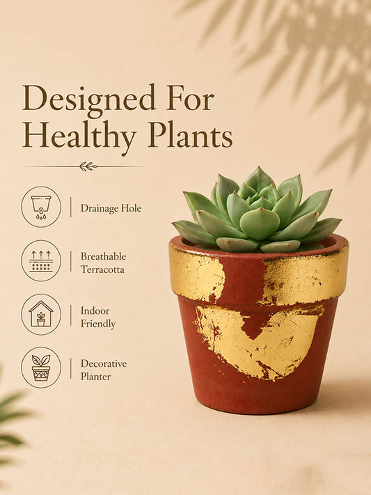 Gold Art Hand Painted Terracotta Plant Pot (Red & Gold)