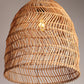 Pendant Lamps 