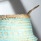 Seagrass Plant & Storage Baskets - Blue
