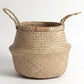 Seagrass Plant & Storage Baskets