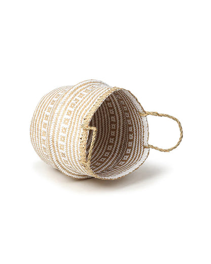 Woven Belly Basket for Indoor Plants & Cozy Corners