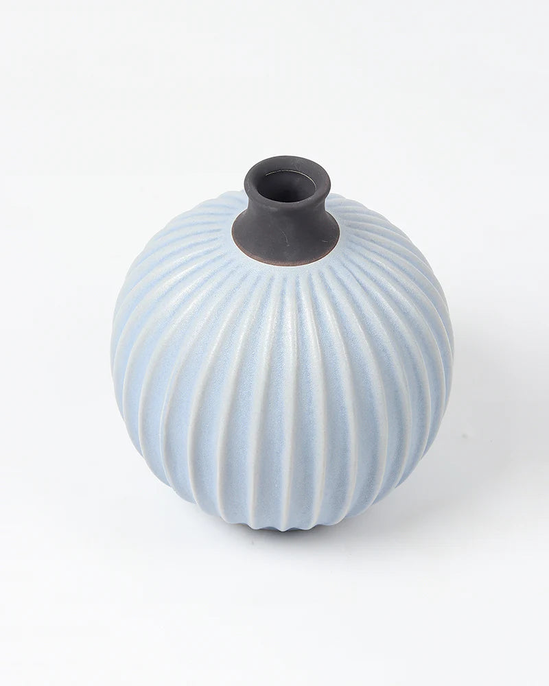 Curved Ceramic Vase for Minimalist Room Decor