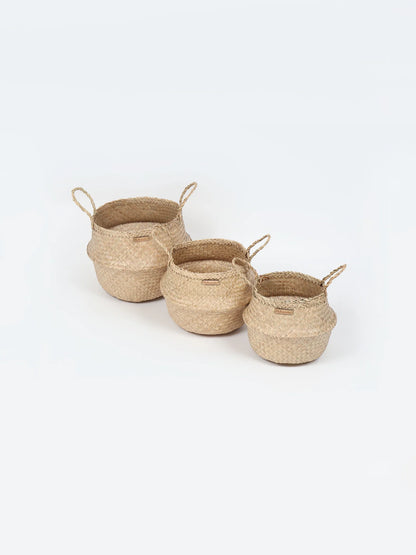 Stylish Belly Planter Basket for Modern Home Decor