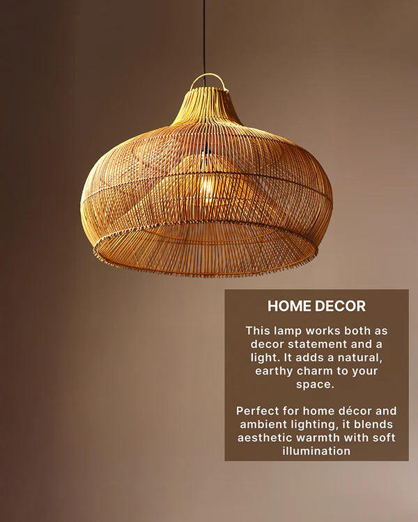 Chic Ceiling Light for Living Room and Minimalist Home Decor