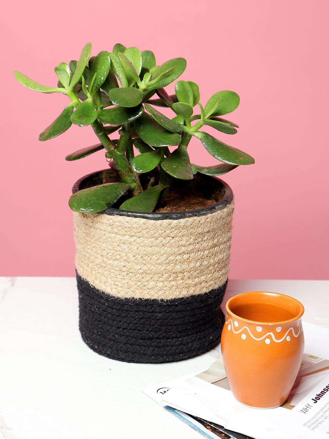 Pflanzkörbe aus schwarzer Jute – 2er-Set