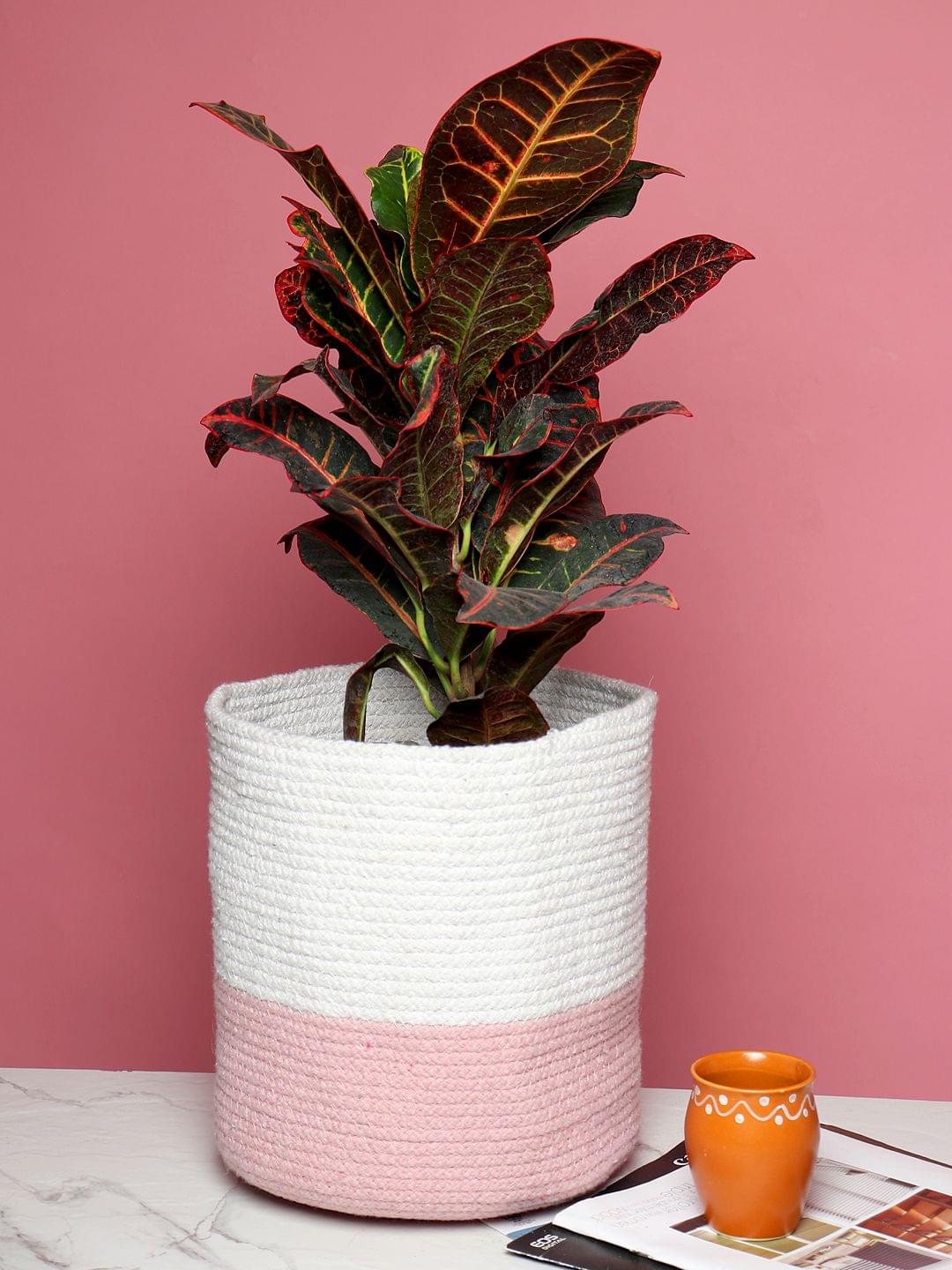 Set of 2 Indoor Jute Basket for Planters or Room Essentials