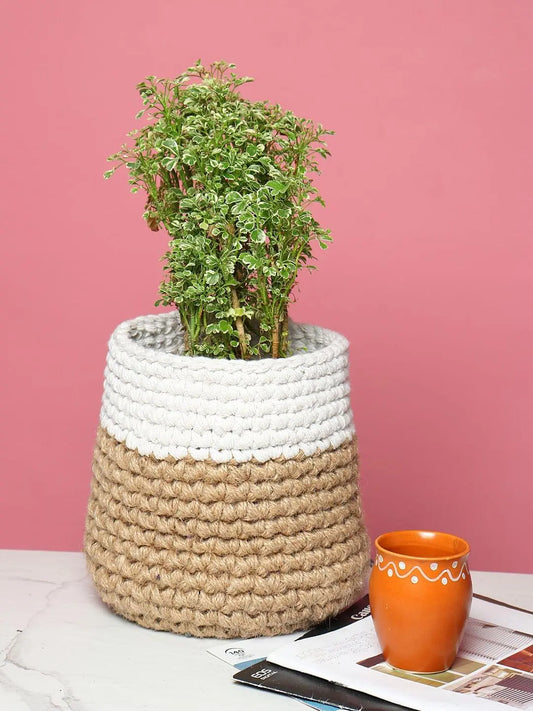 Set of 2 Versatile Jute Basket for Decor, Plants, and More