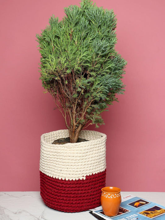 Set of 2 Basket Woven Cotton for Indoor Plants & Everyday Storage