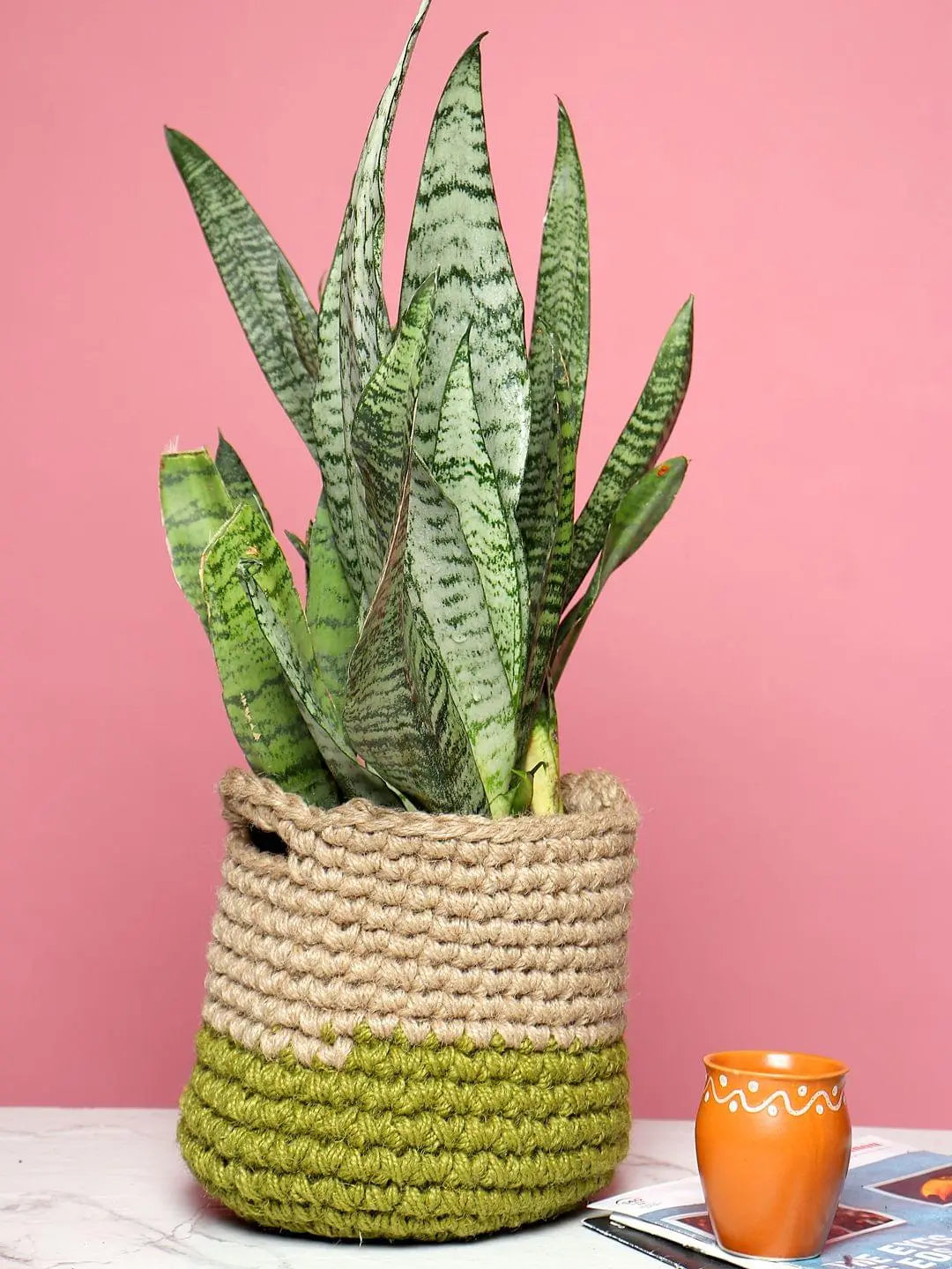 Rustic Set of 3 Jute Planter Basket for Versatile Home Use