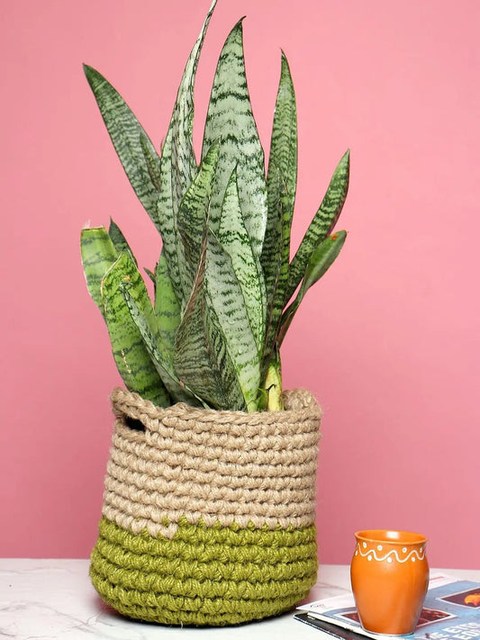 Rustic Set of 3 Jute Planter Basket for Versatile Home Use