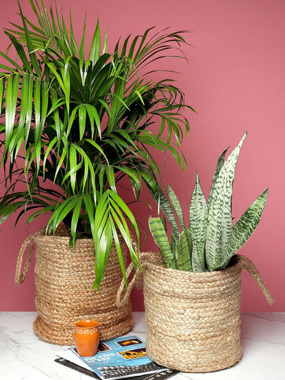 Set of 2 Natural Fiber Basket for Storage or Indoor Greenery
