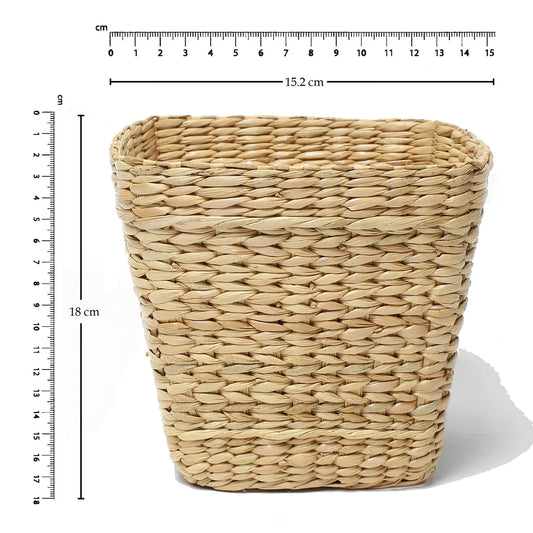 Eco-Friendly Seagrass Basket for Home Plants & Essentials