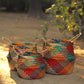 Multicolor Seagrass Plant & Storage Baskets