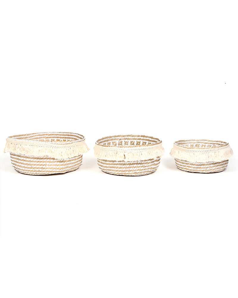 Seagrass Plant & Storage Baskets