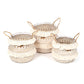Seagrass Plant & Storage Baskets