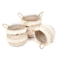 Seagrass Plant & Storage Baskets