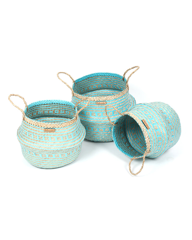 Blue Color Seagrass Plant & Storage Baskets