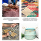 Blue Color Seagrass Plant & Storage Baskets