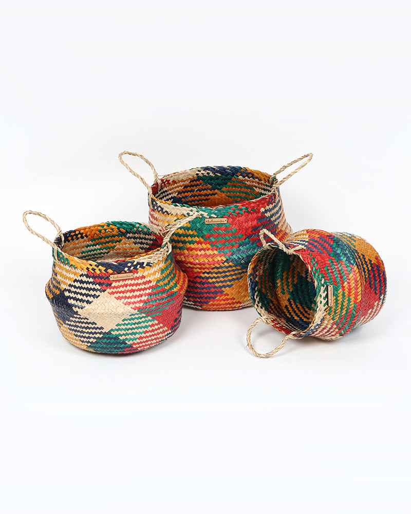 Multicolor Seagrass Plant & Storage Baskets