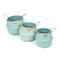 Blue Color Seagrass Plant & Storage Baskets