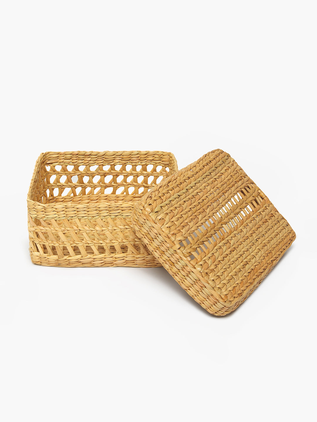 Seagrass Jaali Lid Box
