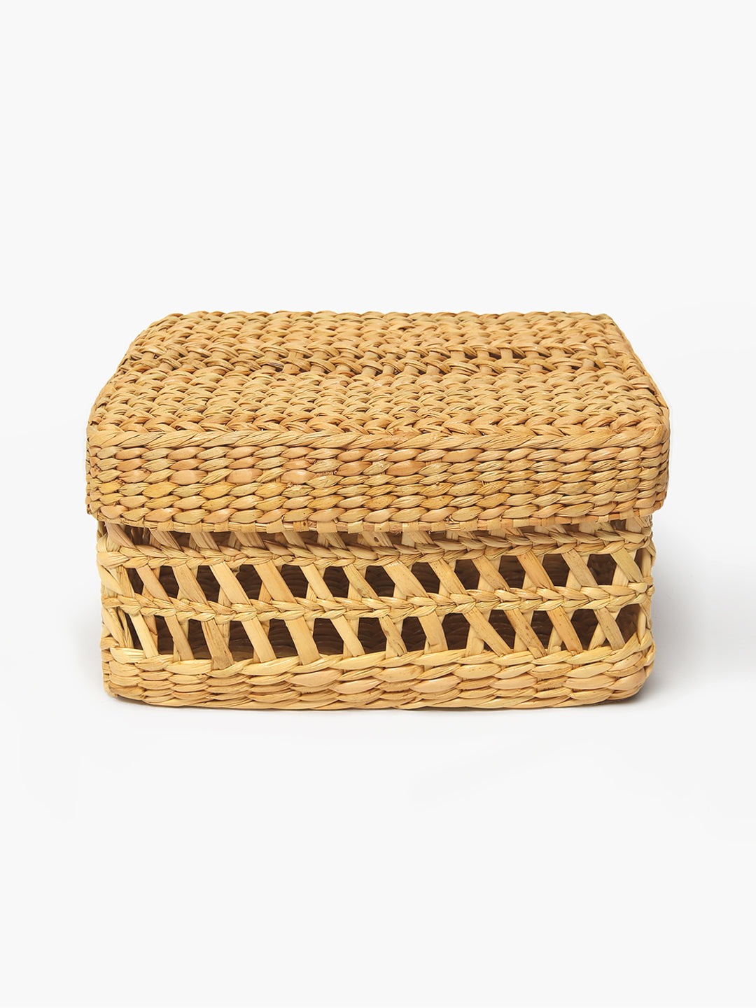 Seagrass Jaali Lid Box