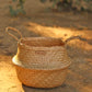 Seagrass Plant & Storage Baskets