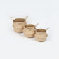 Seagrass Plant & Storage Baskets