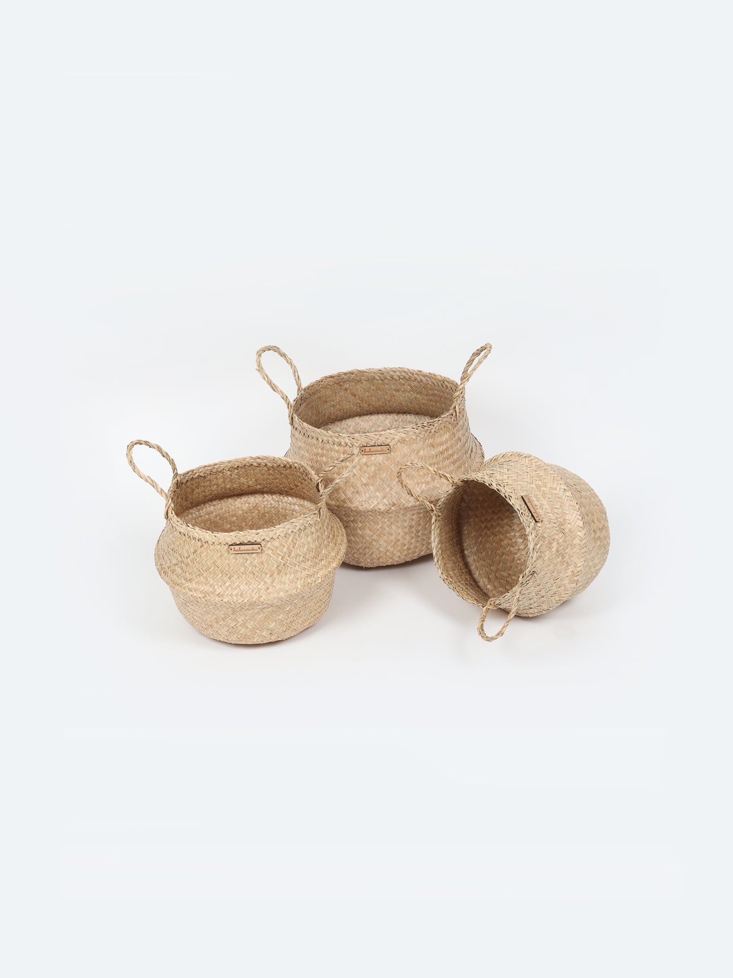 Seagrass Plant & Storage Baskets