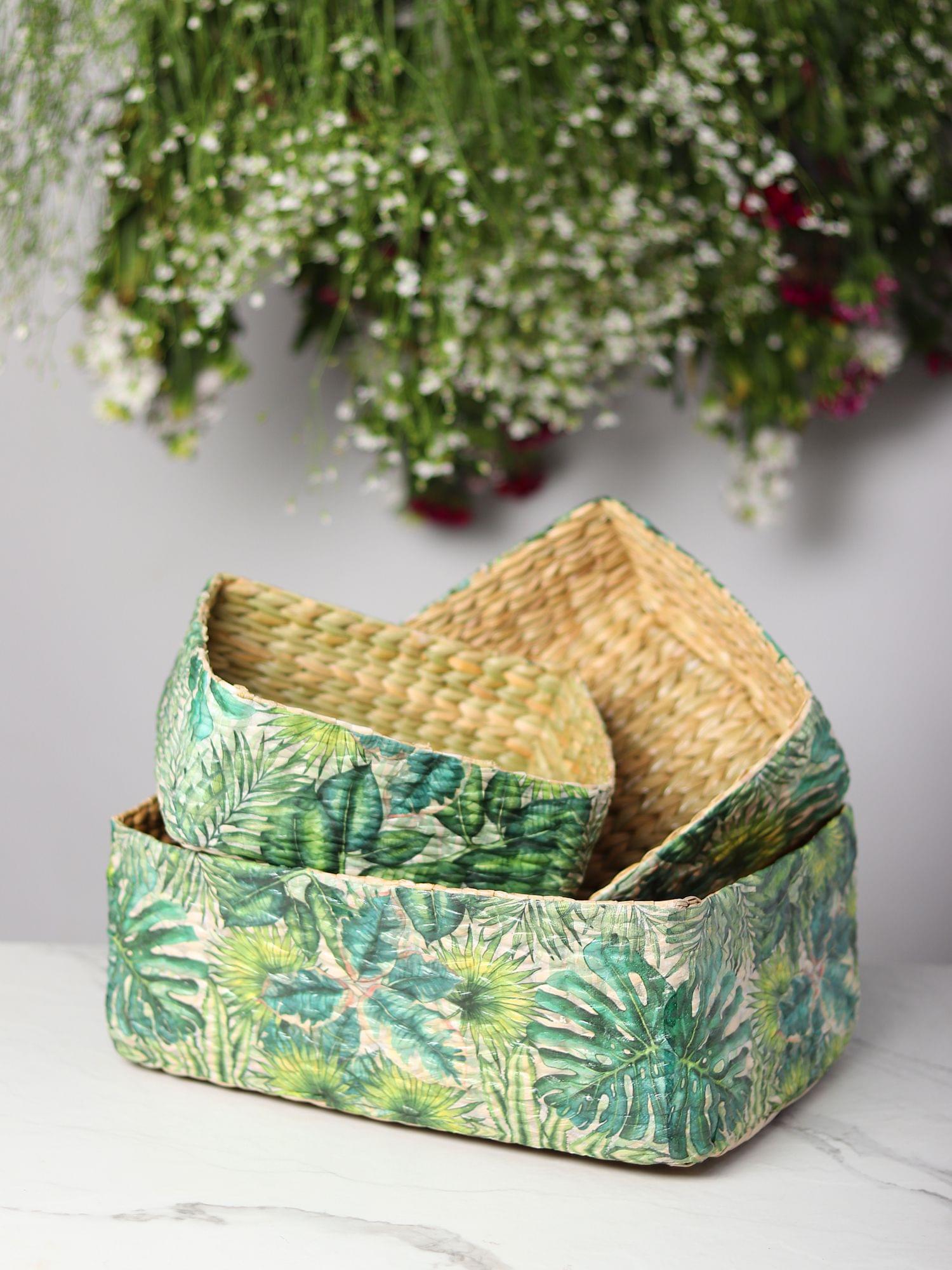 Storage Trays
