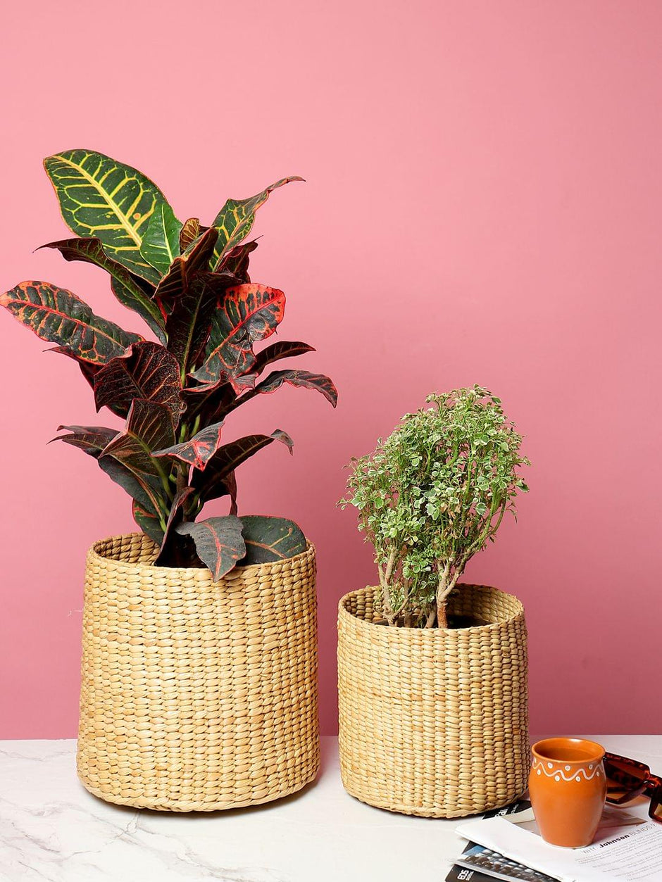 Jute Planters Online & Plant Baskets Online Buy Eco Friendly Jute