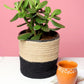Indoor Planter Basket