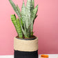 Black Jute Planter Baskets