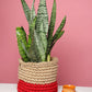 Shelf Baskets