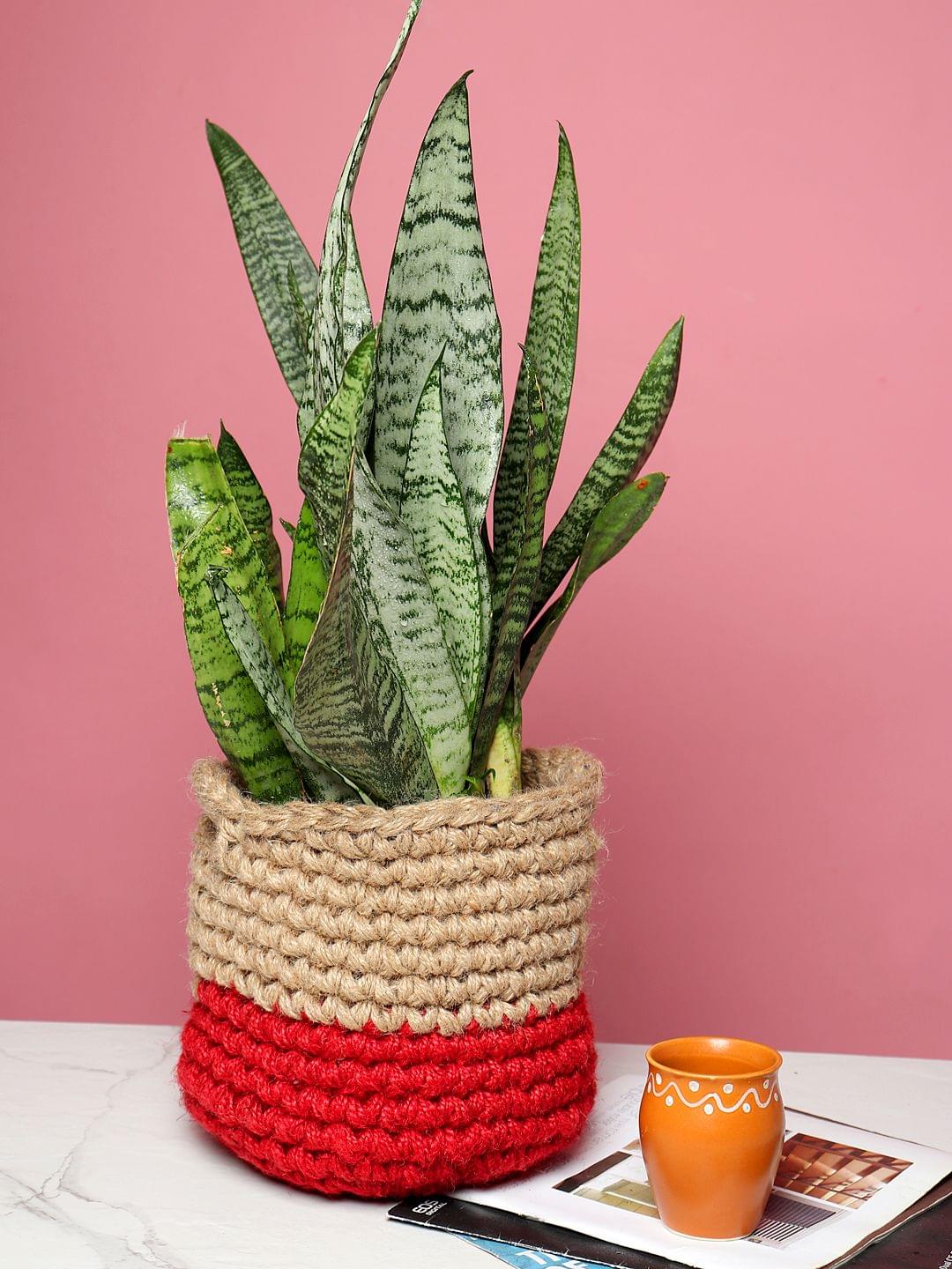 Shelf Baskets
