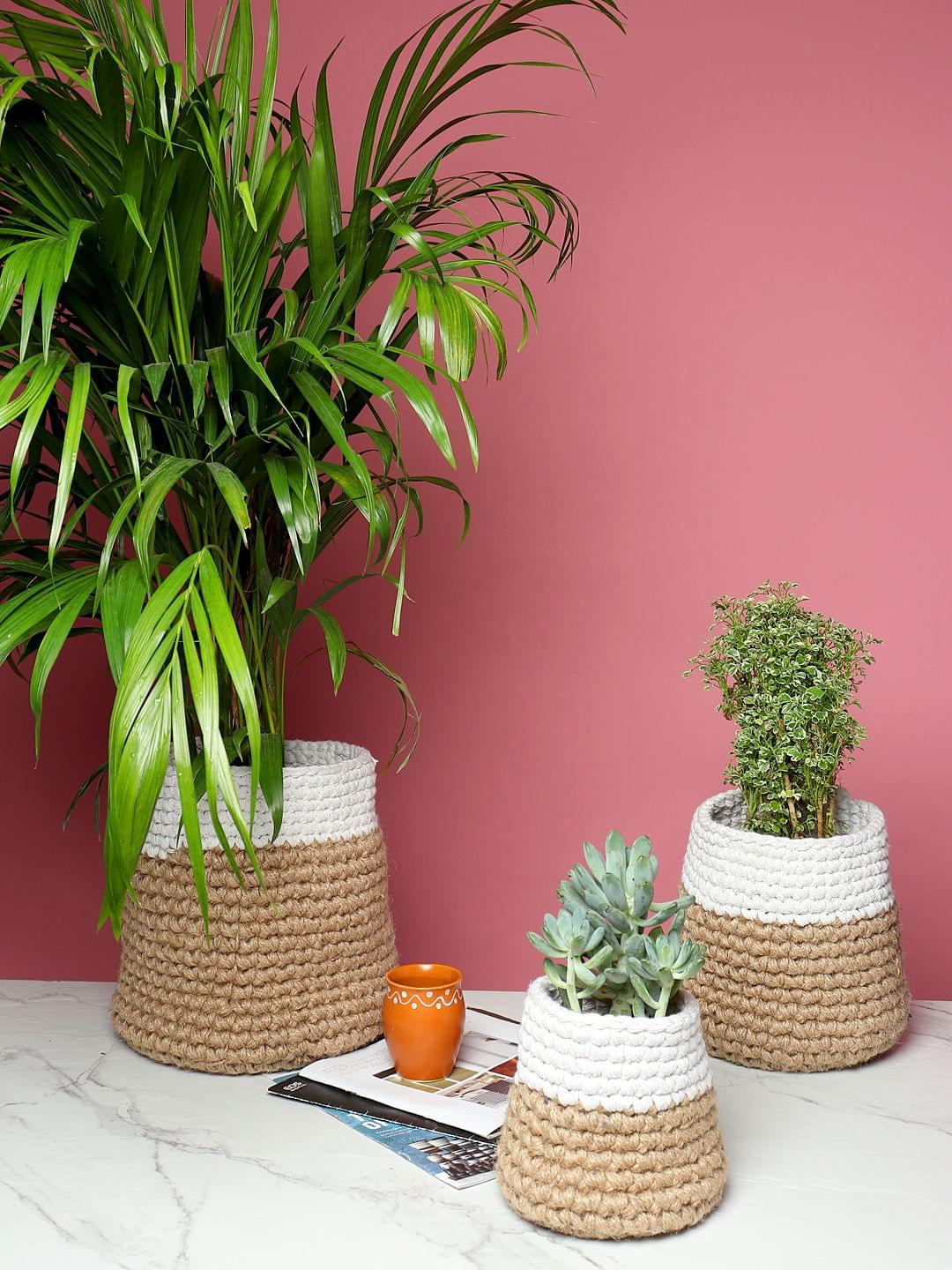 Best Indoor Planter Basket