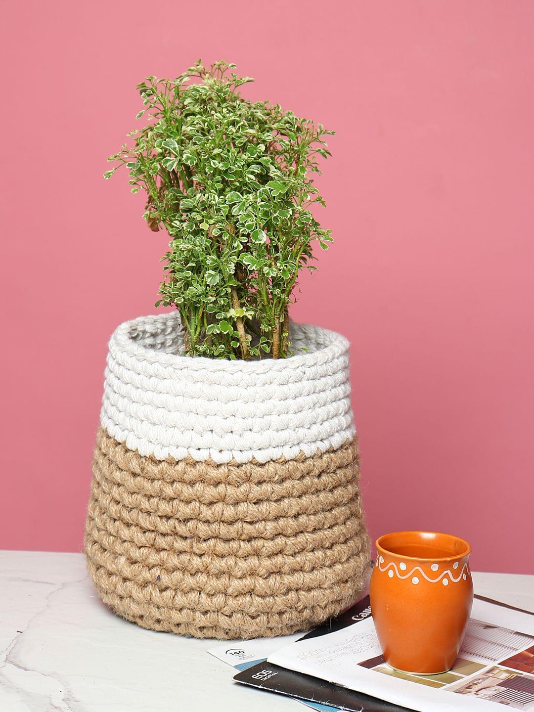  Jute Crochet Storage Basket