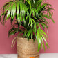Jute Planter & Storage Baskets