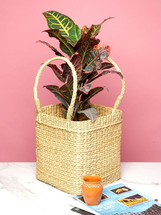 Indoor Planter Basket 