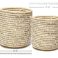 ,Natural Desk Planter